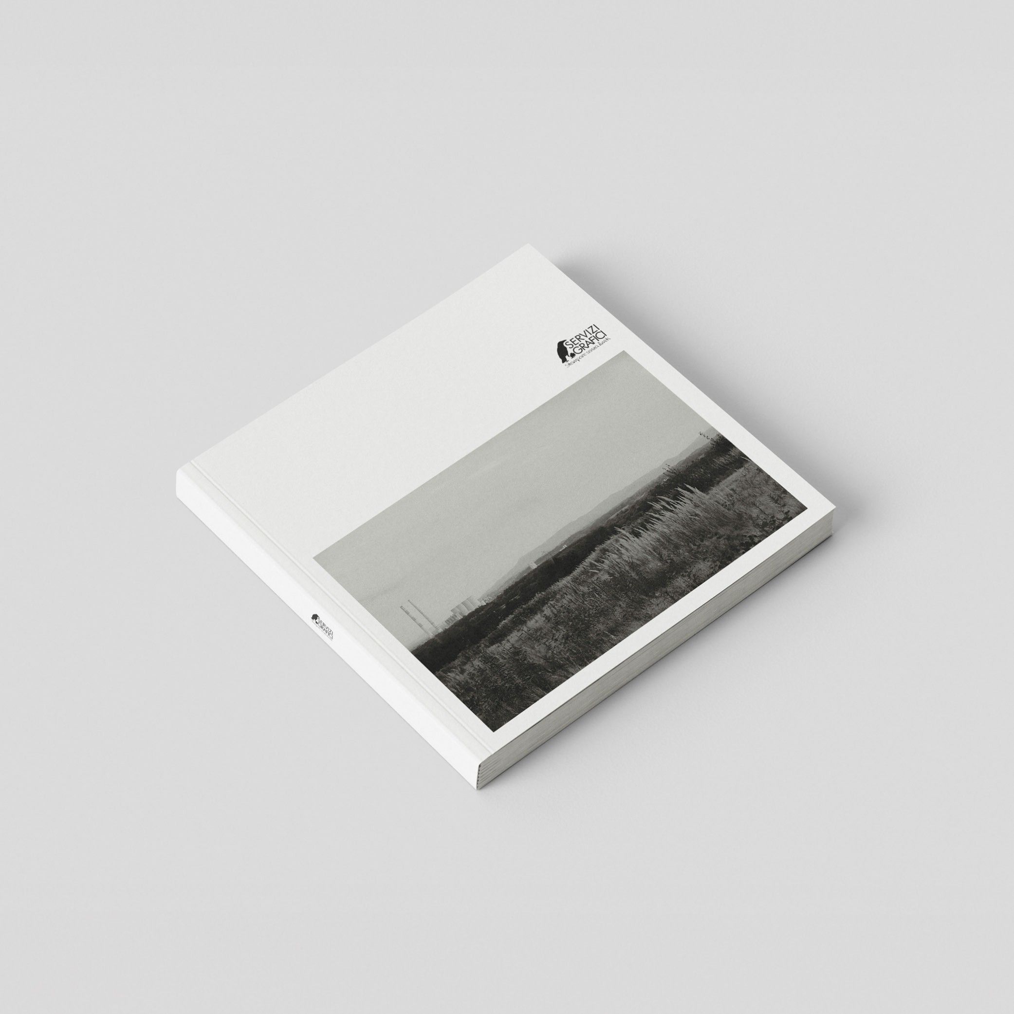 Perfect-bound binding book